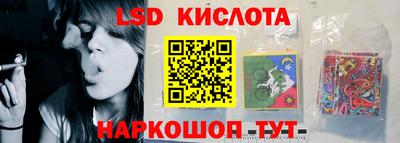 стаф Братск
