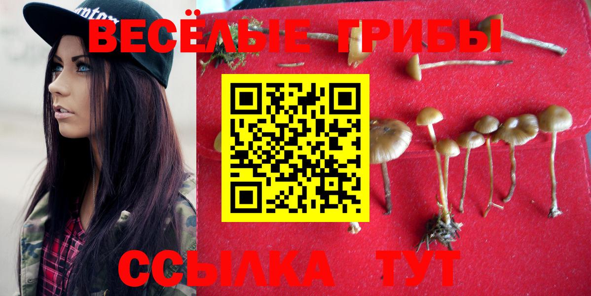 Псилоцибиновые грибы GOLDEN TEACHER Каменск-Шахтинский