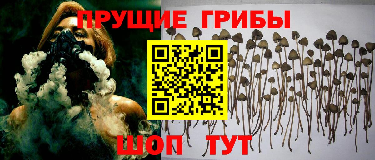Псилоцибиновые грибы MAGIC MUSHROOMS  Вход с VPN  Каменск-Шахтинский 